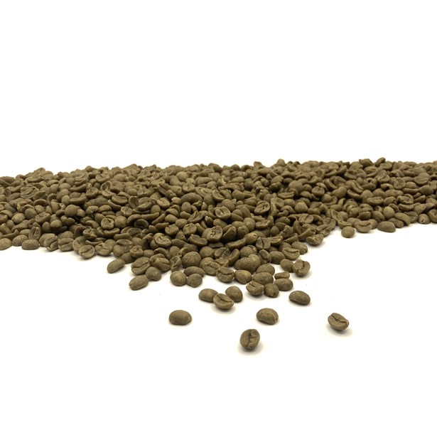 Costa Rica: Decaf El Indio SWP